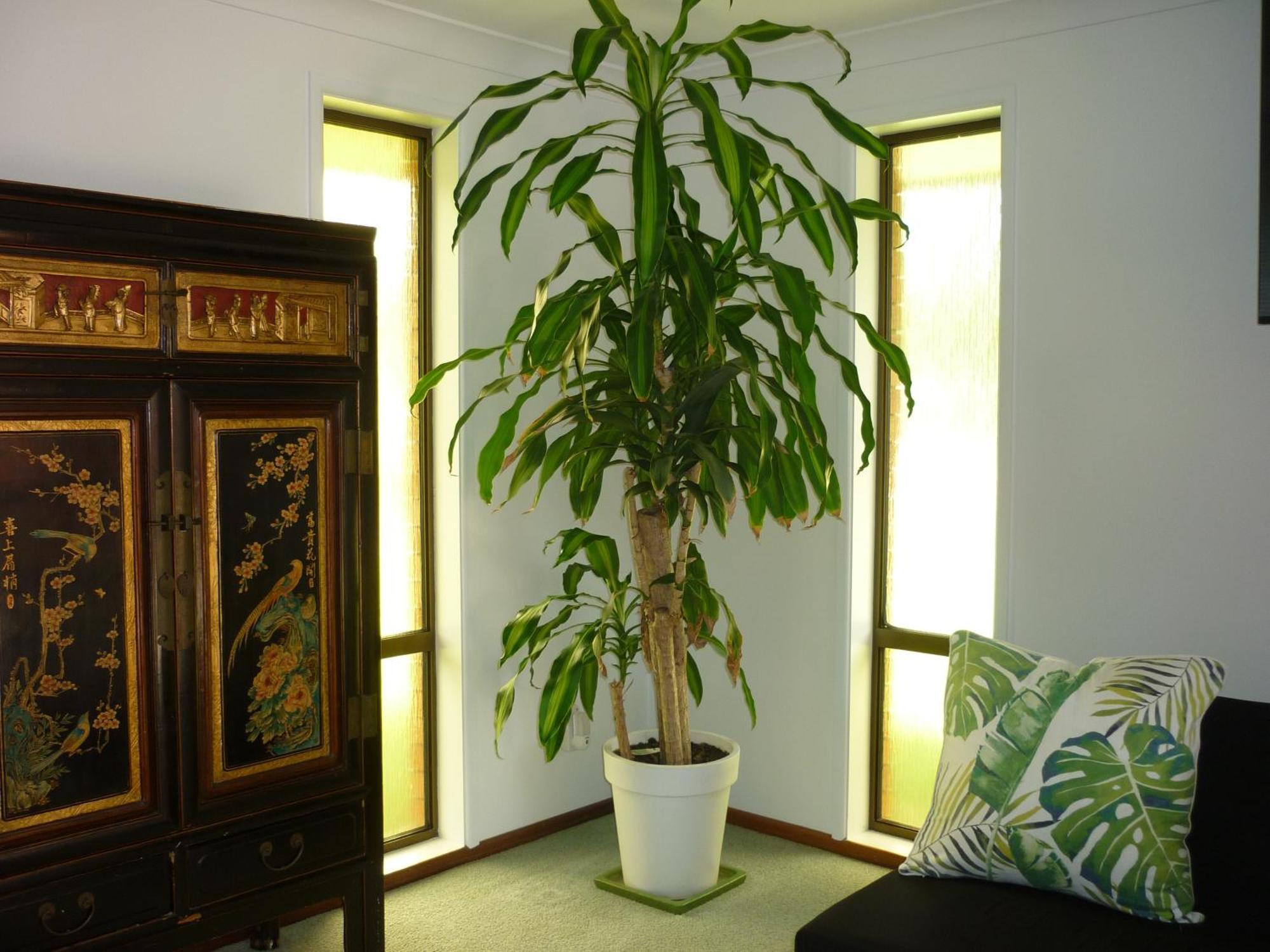 Bill'S Apartment คอฟฟ์ฮาร์เบอร์ ภายนอก รูปภาพ